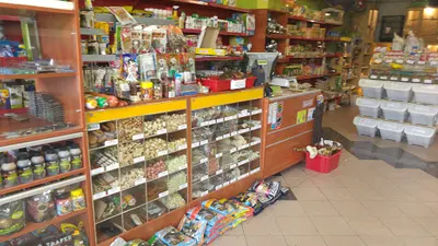 Sklep zoologiczny Nemo